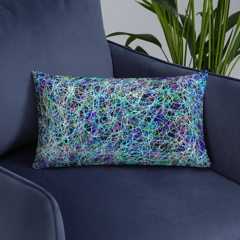 Artist Edition Pillow / Artist - Bryan Ameigh