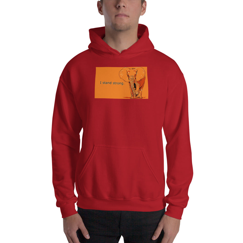 Graphic Edition Hooded Sweatshirt