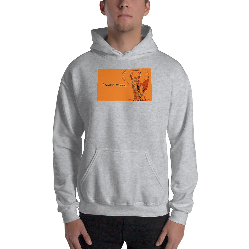 Graphic Edition Hooded Sweatshirt