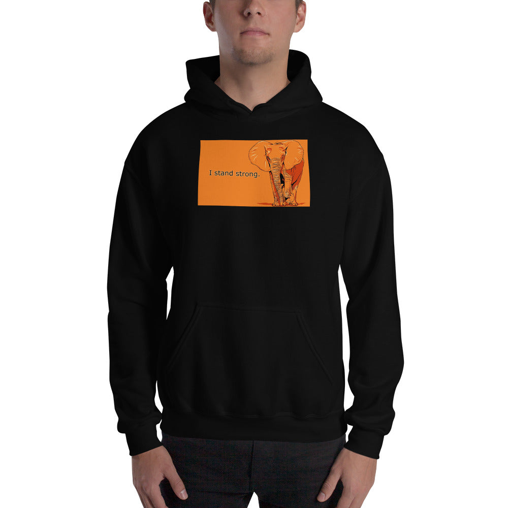 Graphic Edition Hooded Sweatshirt