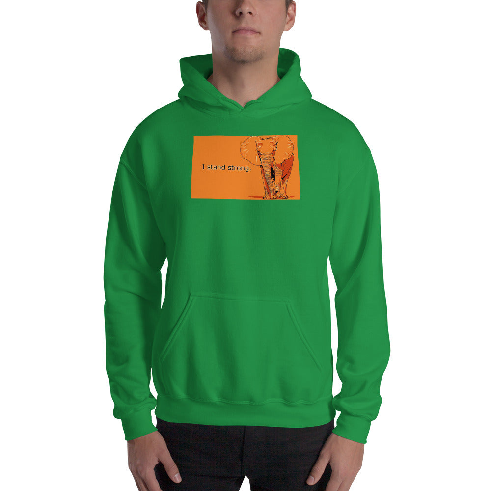 Graphic Edition Hooded Sweatshirt
