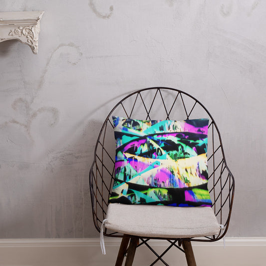 Artist Edition Pillow / Artist - Bryan Ameigh